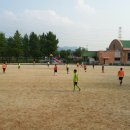 서부초등학교 사거리 Daum카페