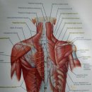 나를 위해 살아봅시다 이미지