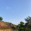 노고지리민박 이미지