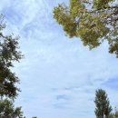 10/14(화) 당산 선유도 팔각정에서 369 이미지