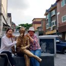 황새울공원 이미지