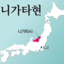 가성비 좋은 과실 느낌의 사케 &#39;타카치요 준마이 오리가라미 히이레&#39;
