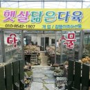 진동다육