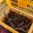 창내농장 이미지