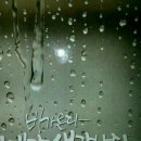 동연
