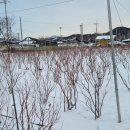 하은농장 이미지