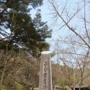 고방[6188]김성원의 서하당(棲霞堂)과 부용당(芙蓉堂)을 찾아서 이미지