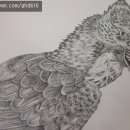 드로잉독 이미지