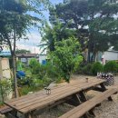 경주 별빛키즈 애견 풀빌라 | 반려견과 함께한 힐링 여행, 경주별빛키즈애견풀빌라 후기