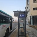 [평택/고덕] 야키토리잔잔 평택고덕점 :: 평택 이자카야 추천 수제요리 모츠나베 찐맛집