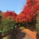종합연구동 화장실 | 경상남도 창원시 관광지 목록 - 마금산원탕, 주남저수지(철새도래지), 마산 오동동 아구찜거리, 달천...