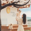경주미담한옥펜션
