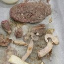 신조개천국 이미지