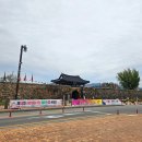 서산여행 :: [해미읍성] 무료 입장에 역사 체험까지! 아이와 함께한 자연과 역사가 어우러진 특별한 시간