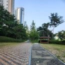 풍영정 | 수완호수공원, 풍영정 천변길 아침 산책하기, 산책로 추천