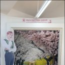 남영관광 이미지