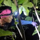 사남매농장 이미지