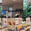 뽑기짱ZONE 이미지