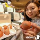 현대그린농장 이미지