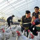 운하농장 이미지