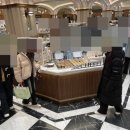 치플레신세계