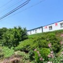 하천리-14 이미지