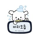 강아지 미용실 | (울산 매곡 이리오솝)울산 매곡 강아지 미용 후기, 비숑 루아 단골 미용실 방문기