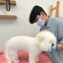 그루밍젤리 이미지