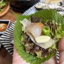 다모아도매회센타