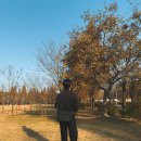 바디 디자인 | 원바디 원렌즈에 최적화된 픽디자인 슬링백 6L V2 후기