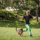 위즈동물병원 이미지