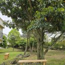 푸른숲리조트 이미지