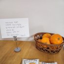 조가물민박 이미지