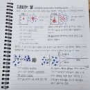 구봉초등학교 이미지