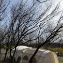 충남목장 | 캠핑장 이용하면 목장은 무료!충남 예산 아그로랜드목장 캠핑장 후기