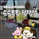 슈슈봉봉 | [평택] 슈슈봉봉 카페 방문후기👶🏻💛