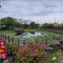 명동식도락 - 중구 | 명동식도락