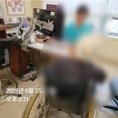 성모사회적협동조합