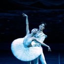 2021 수원발레축제 이미지