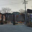 단양연화 이미지