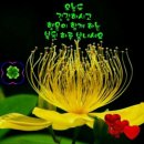 노화읍-4 이미지