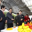 진흥2농장 이미지