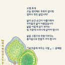 올드 팝송 LP듣기 이미지