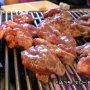 서래갈매기 이미지