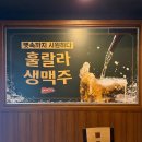 훌랄라숯불바베큐 | 천안 두정동 숯불치킨 훌랄라참숯치킨 두정2점 후기 / 참숯 치즈바베큐