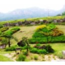 권능교회 이미지