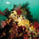 인구 리조트 이미지