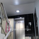 아젤리아 이미지