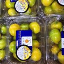 도토리하우스 이미지