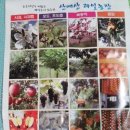 산애산과일농장 | 산애산 과일 농장에서 전해온 꿀사과 드셔보세요^^